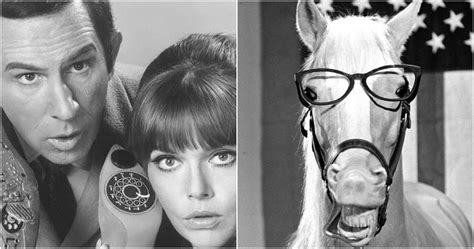 Stay tuned, everyone. . Forgotten tv shows of the 60s